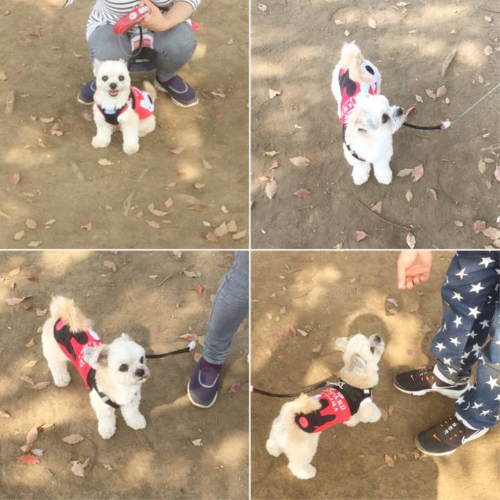 0de35a27 e599 45b8 a36e bf2a67200f0f 1554625166331