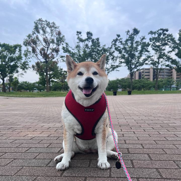 0de387ac 23ba 4ccf ad35 9f37c048d8dc 1758606752180