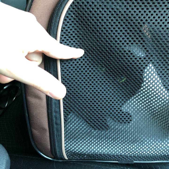 0de3eb21 a802 4026 9a54 8727581fc25b 1618819286891