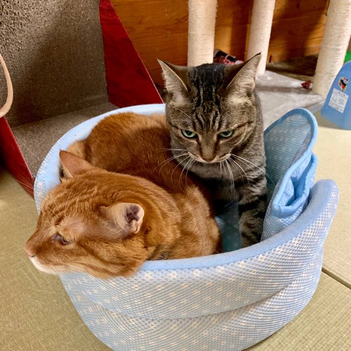 0de450a0 5973 4c09 aa0f 5d7d786e310c 1563511604250