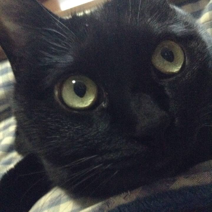 0de456e3 8a5e 4c93 907c 2b3b4b301f44 1546838676036