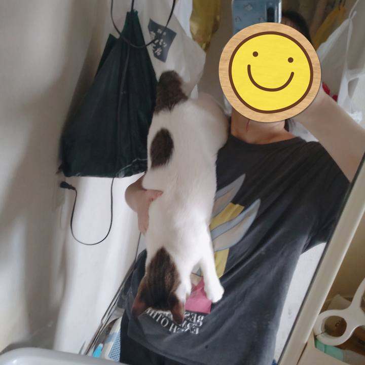 0de48b17 c006 4136 b52c 34095b82021c 1694935187226