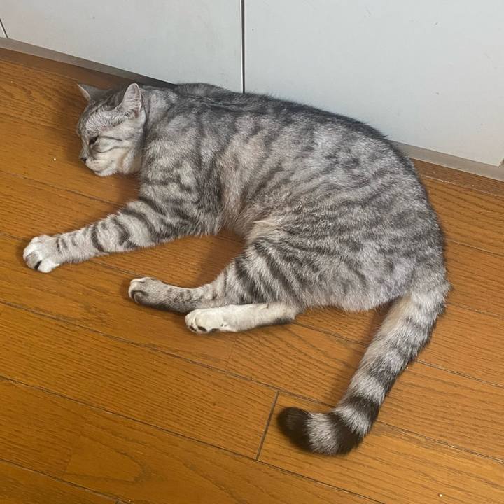 0de4f4c5 f9d3 4a01 a277 99aefe3417be 1720651503453