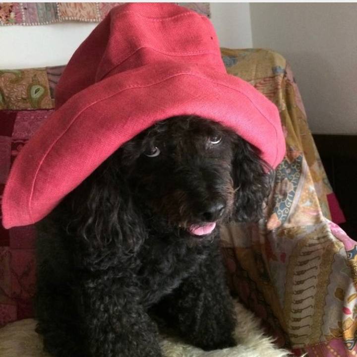 0de57ed4 31ff 4559 ab3b 79752063b4bf 1650931978134