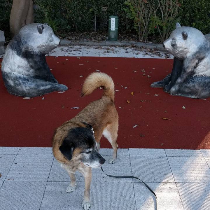 0de5ac99 a517 4d07 a923 de89bbe739a3 1540770561719