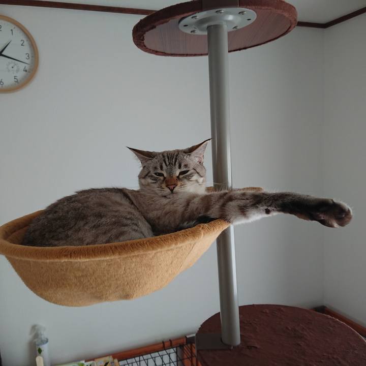 0de5b641 c0dd 4313 9f30 beafc32eb02d 1532492428604