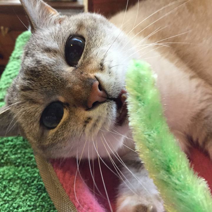 0de620d5 556d 41a0 a9d3 5c2281ebbda2 1560332553072