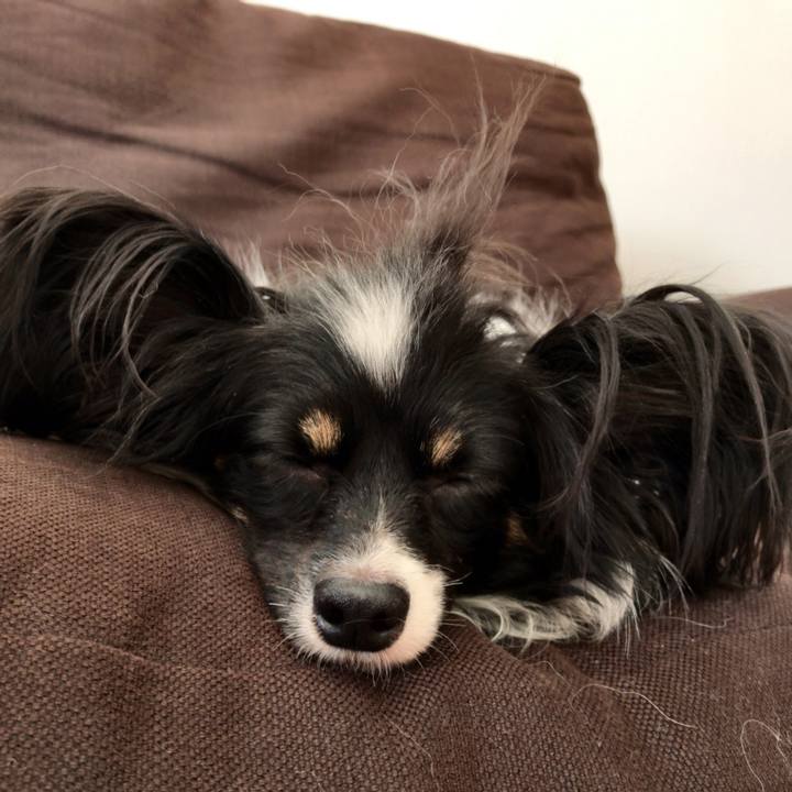 0de66fbd 6663 4fed 89f4 708404a3b351 1515038876376