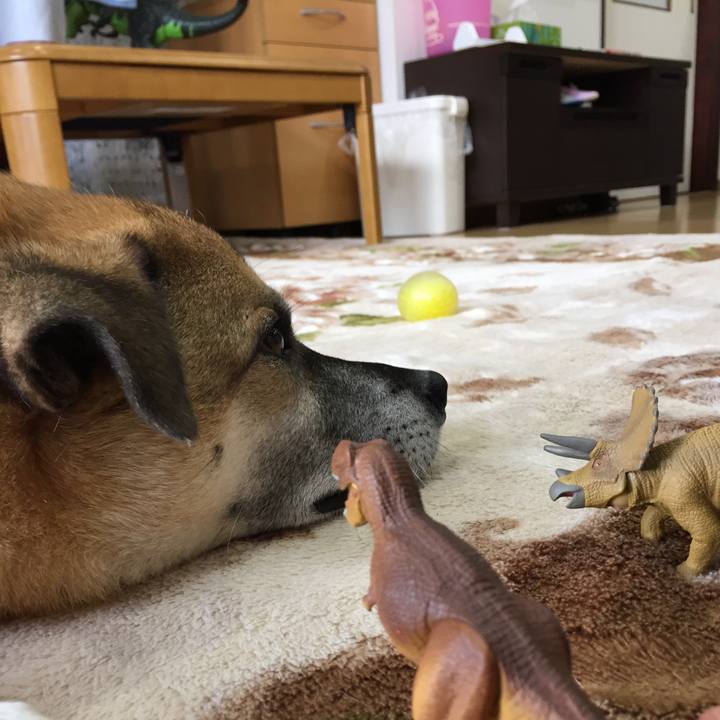 0de69a82 5a27 4778 b8ed c01d9ddfdaca 1514819847097