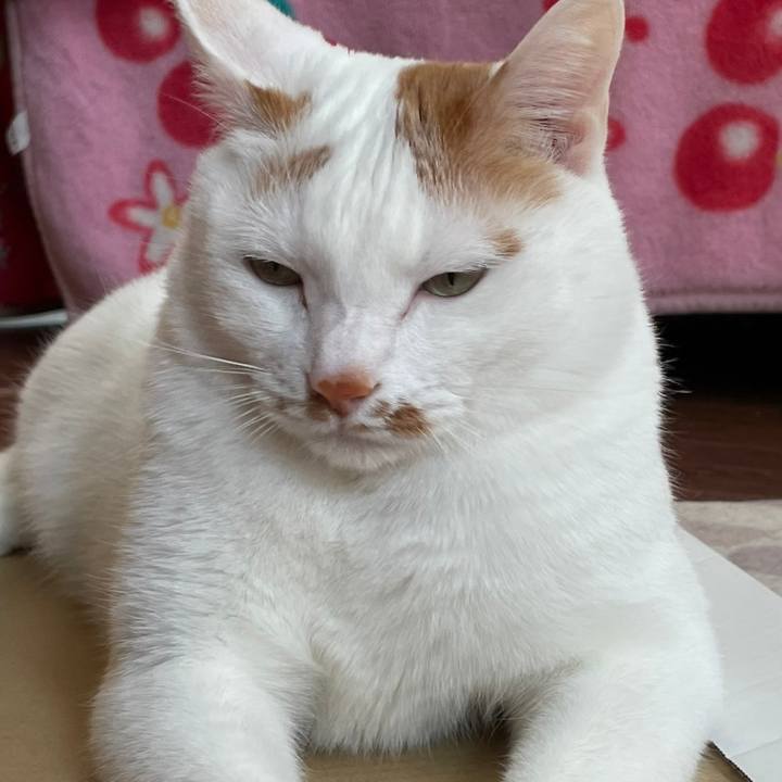 0de6a3ac 588c 48db ac08 947f3be7cd2e 1644589486648