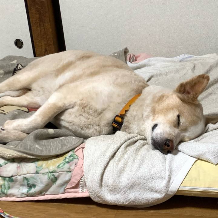 0de6a6f2 fb71 42f2 a313 ba9a76dae9d1 1588770400385