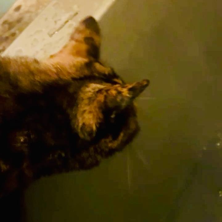 0de6e03f 9d15 45b5 896d 6beb8eb59db7 1762030879342