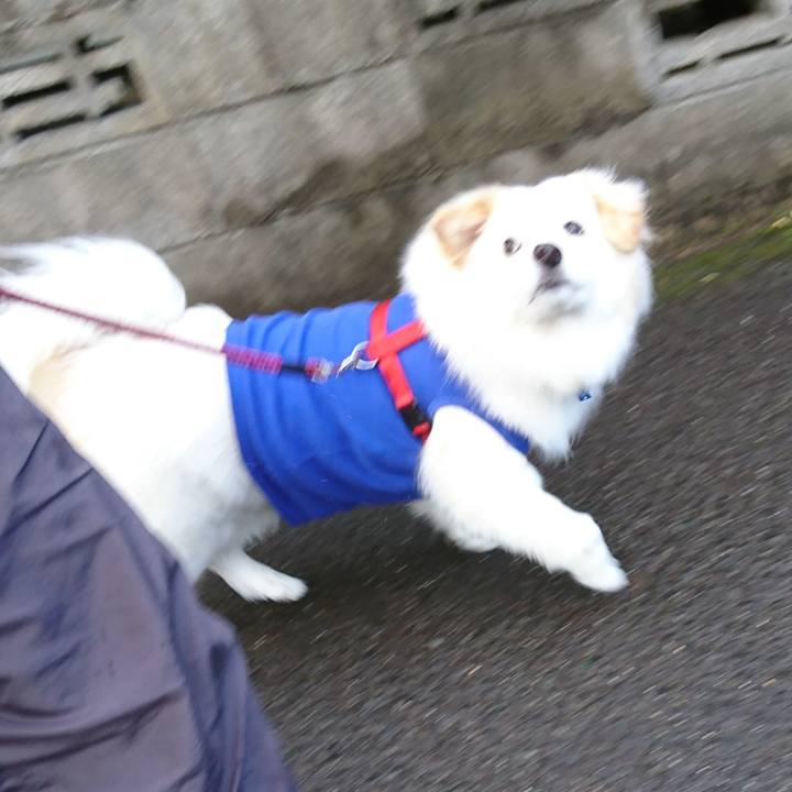 0de6ea2d 8cf0 4142 a4be 05009b7e7c11 1526680076731