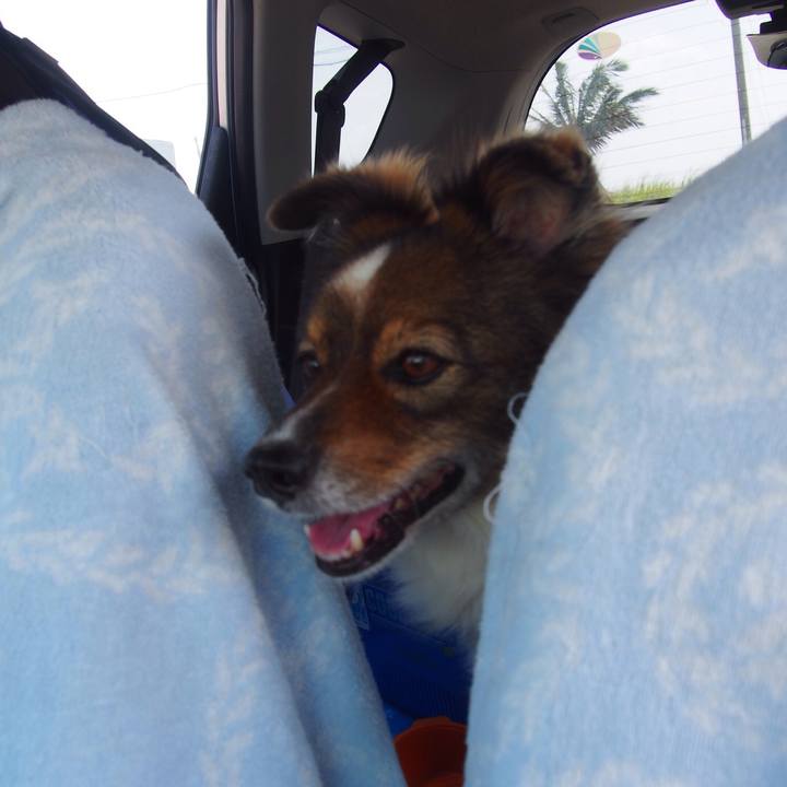 0de7166f 0006 4fb5 9535 335d6baa6e47 1538575457595