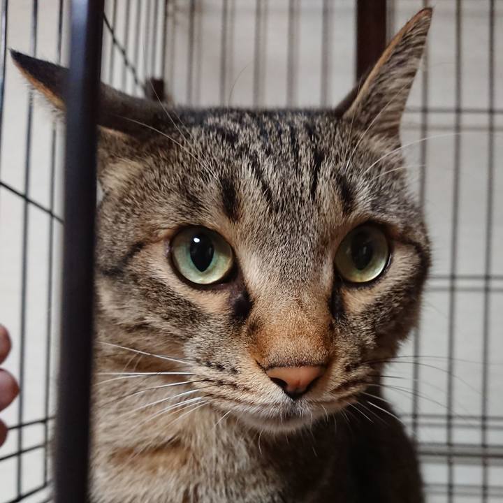 0de726e9 0e04 4dbd a0e3 dbfce0b58cc9 1562326298186