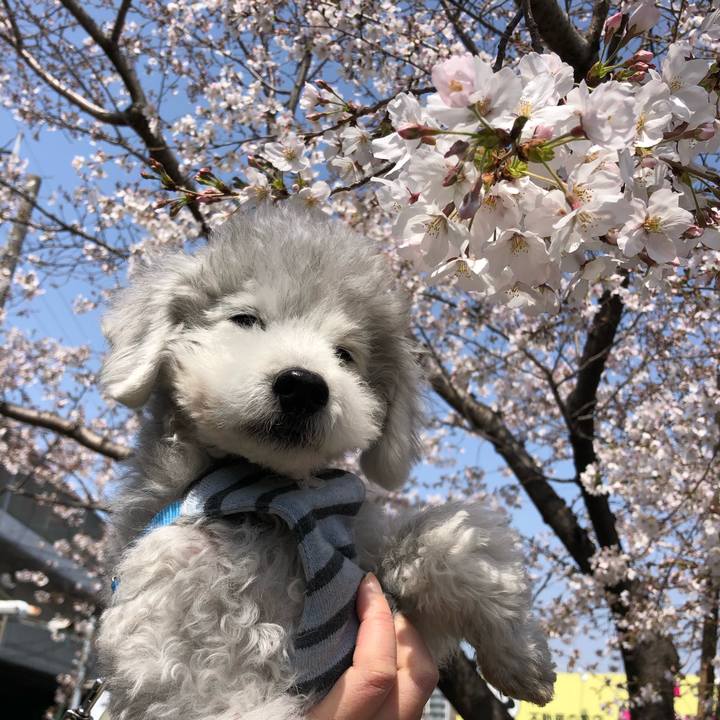 0de764cb 4f6c 4f34 bd41 9928e24e7170 1584919297706