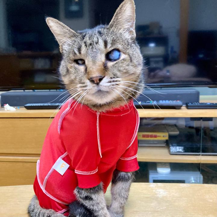 0de769c3 de4b 4cec 8e7a 01275935b65d 1683952952737