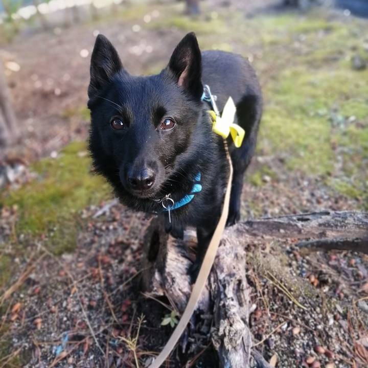 0de7717a d366 46af ba0d 58ba5b55d177 1639782126147