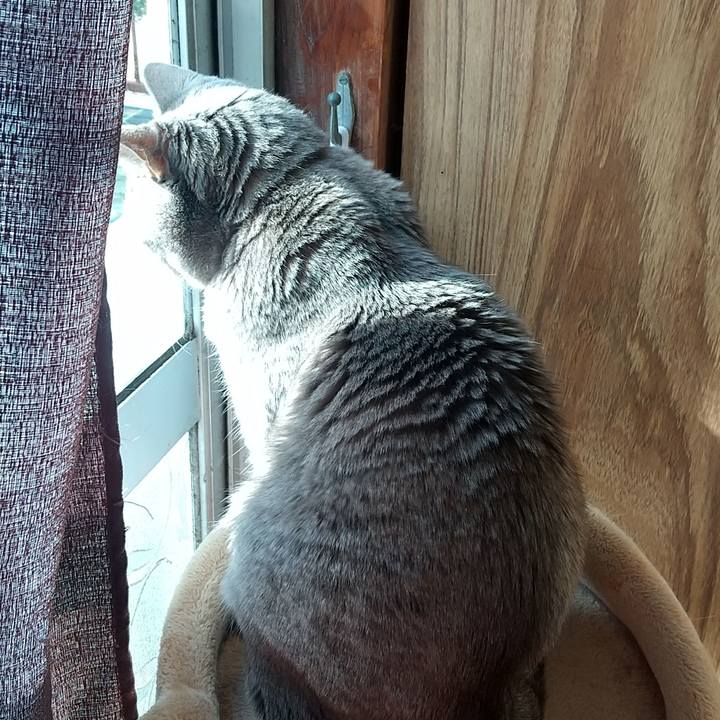 0de792d3 ff7c 47b7 b23b b15a51e7611c 1674345788621