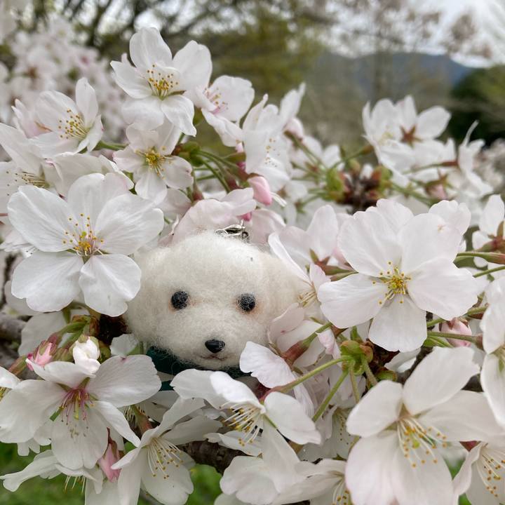 0de7a6ea f772 4271 b783 fd1301851b7e 1712037054353