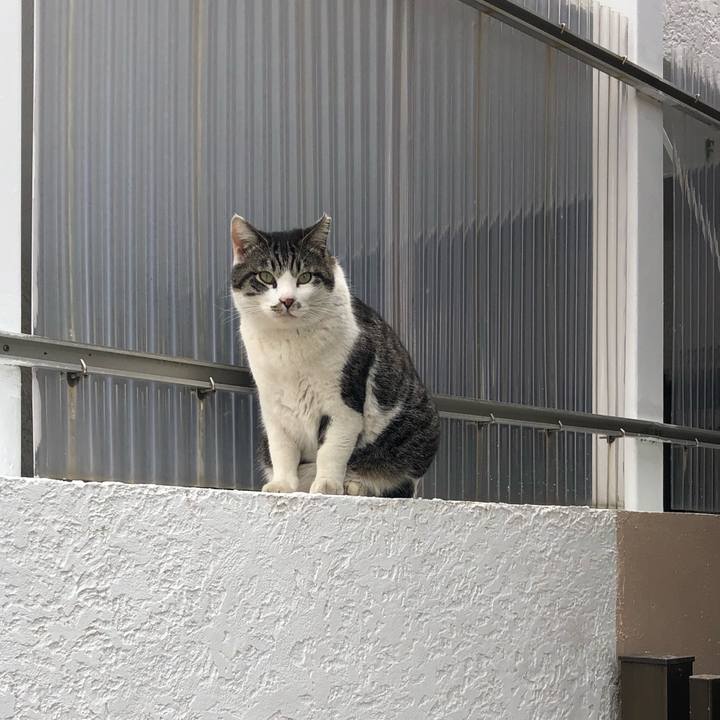 0de7ae24 2f29 4460 b7e8 989240e31fc2 1523081825848