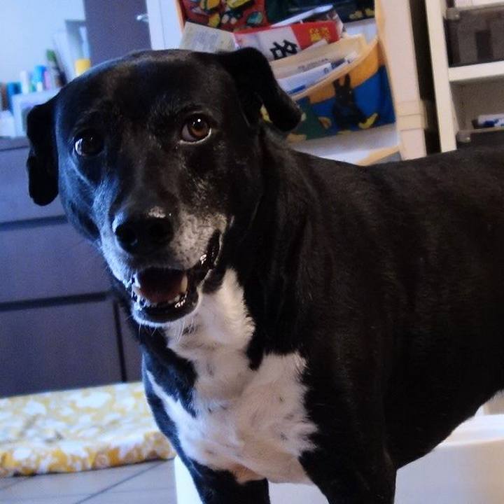 0de7b29b e10b 4355 82c7 40b1c5f4f5c5 1745626118745