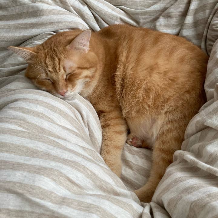 0de7c5b8 5455 433f bc72 3de227ed5c55 1762680614059