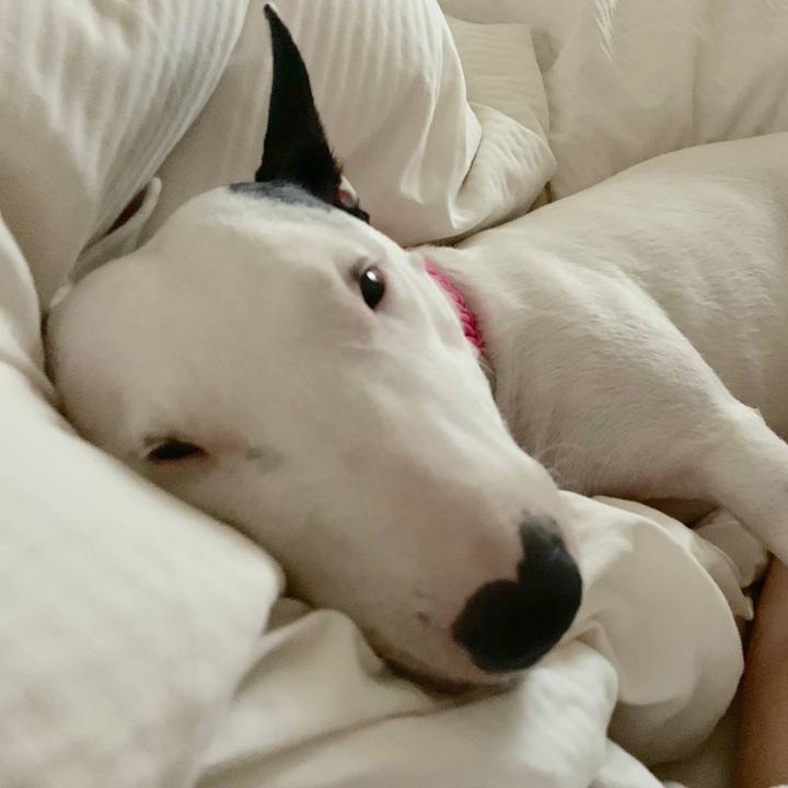 0de7ca5a 7d7a 49d6 8f22 f19f978a9820 1550655733815