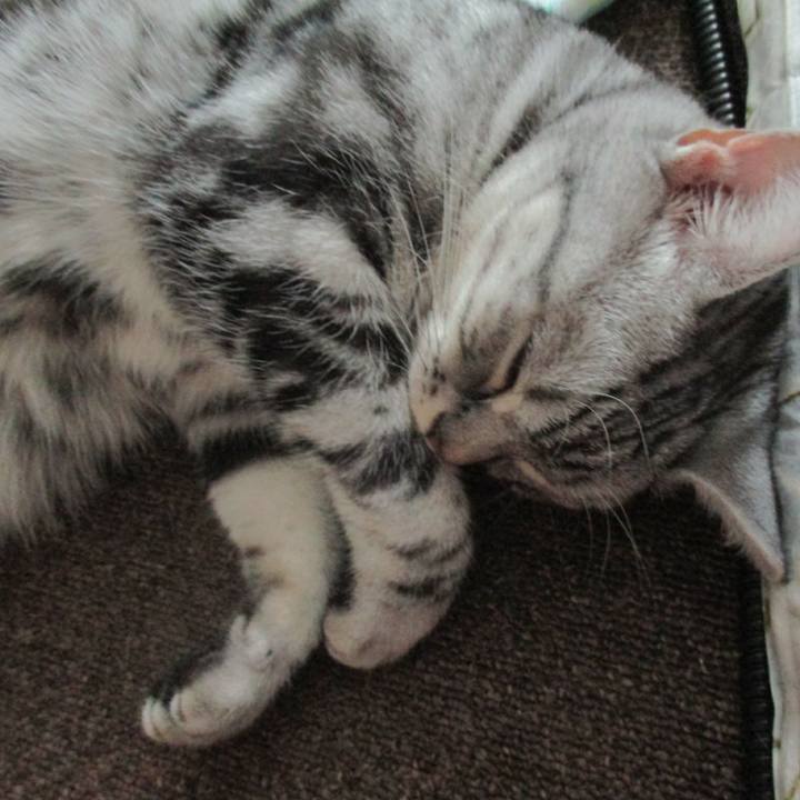 0de7f40f 91b3 460d 82c8 5cfb2c73ae5e 1563799374379