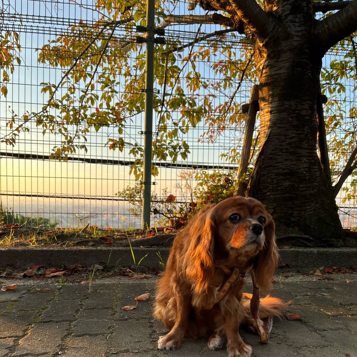 0de7f975 9aa2 4351 90c9 03bab23a6a16 1664836159424