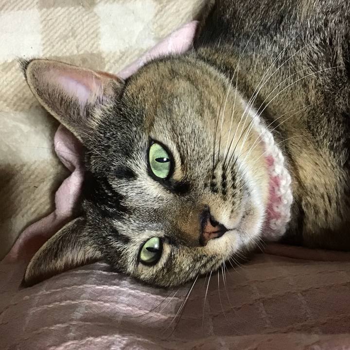 0de80839 225c 41cf a299 16587b50125e 1670149046391