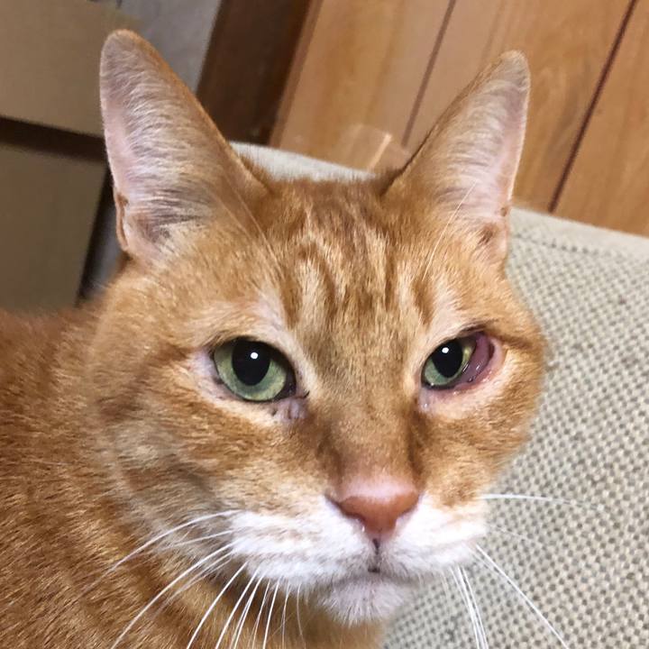 0de808ef 3f55 4937 bf71 e29d7705898f 1729674297863