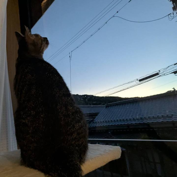 0de80e32 ddbe 47f7 8a96 cb438e31d79f 1755500829436