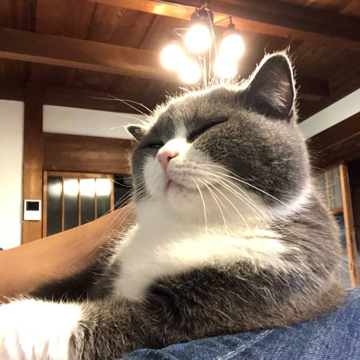 0de82ec8 3c53 48a8 b93e 1bdb70b33956 1590911511358