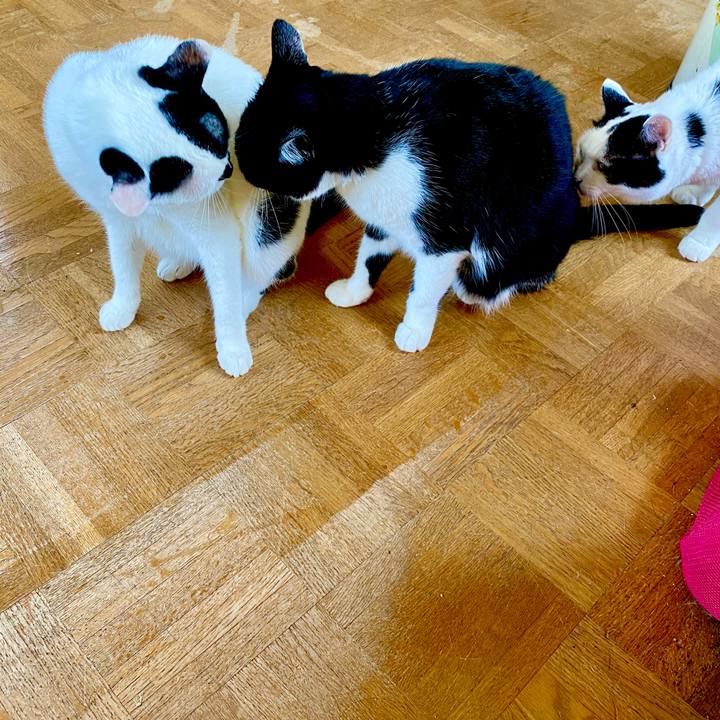 0de85216 2d61 46f9 bbc5 66376e1ad190 1626903177148