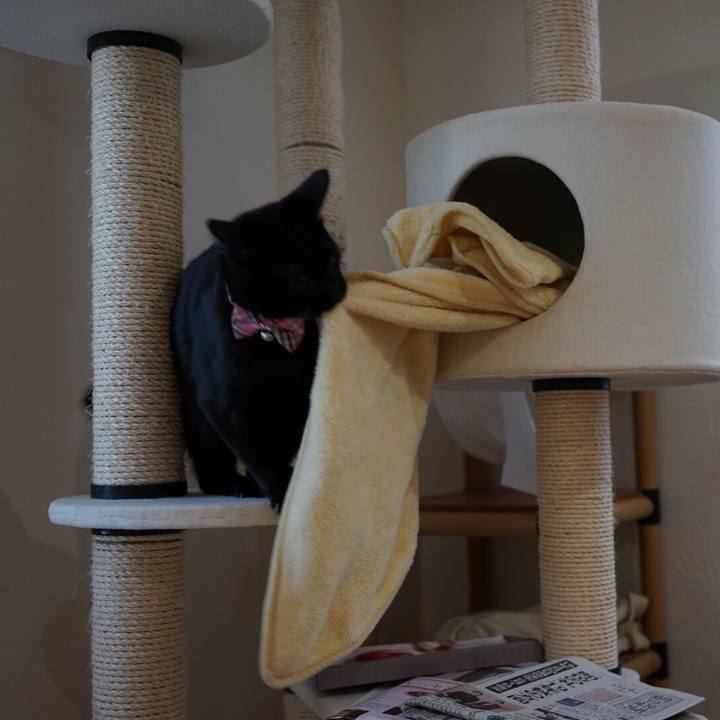 0de88e01 ee3b 410c bc63 c4acfeb52721 1513035415984