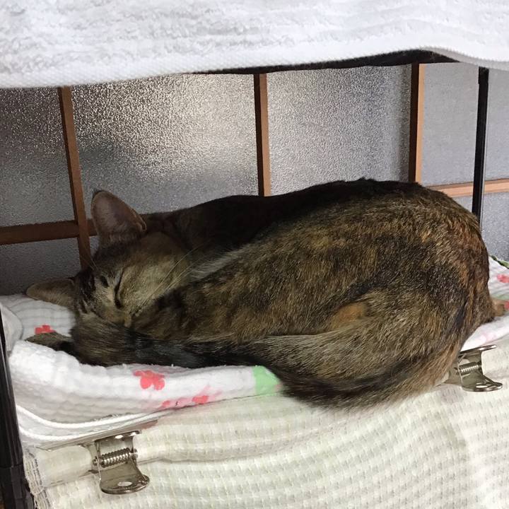 0de88e8a f017 4324 a3f7 4520859e708b 1642909208864