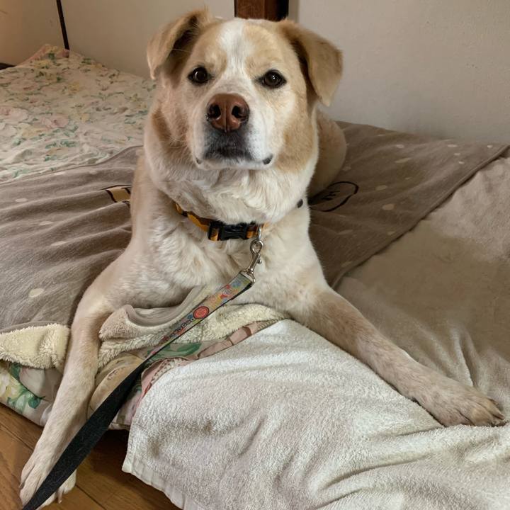 0de8a6fd 16b3 474d 8db0 a0cd318ef30a 1585365977863