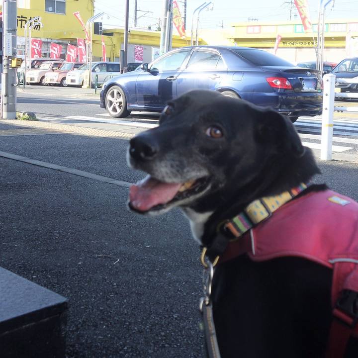 0de8b050 bf28 4387 9285 15035ede8892 1697157334270