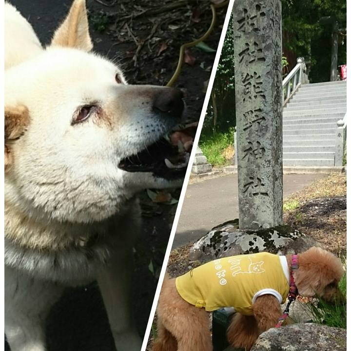 0de8b2d6 ba3b 458e 8a1c c01a7ab4980b 1526349330679