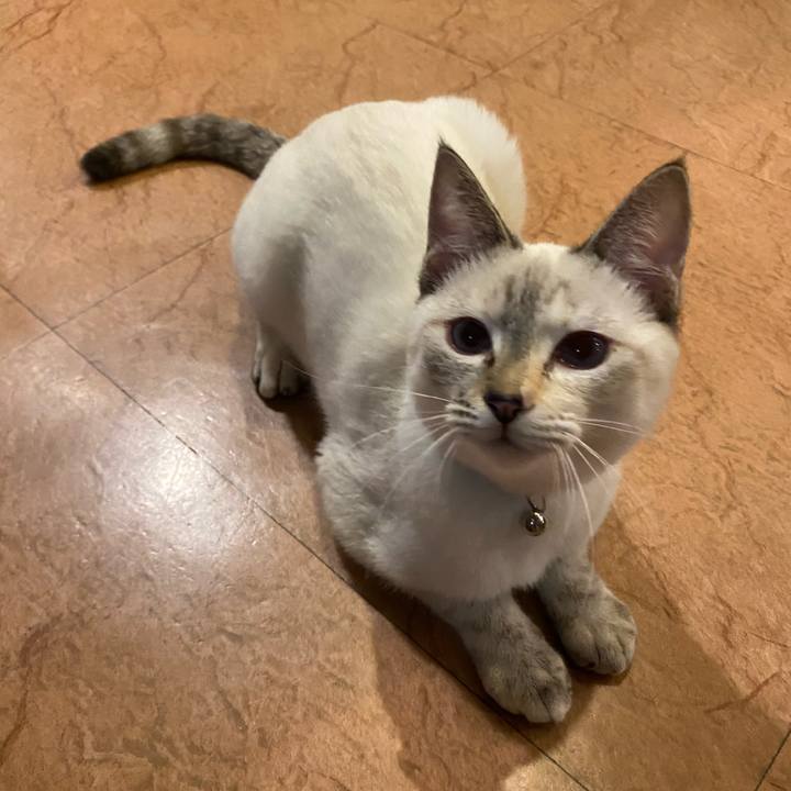 0de8dda3 fc68 4509 9287 b6f309e26a7b 1637832875640