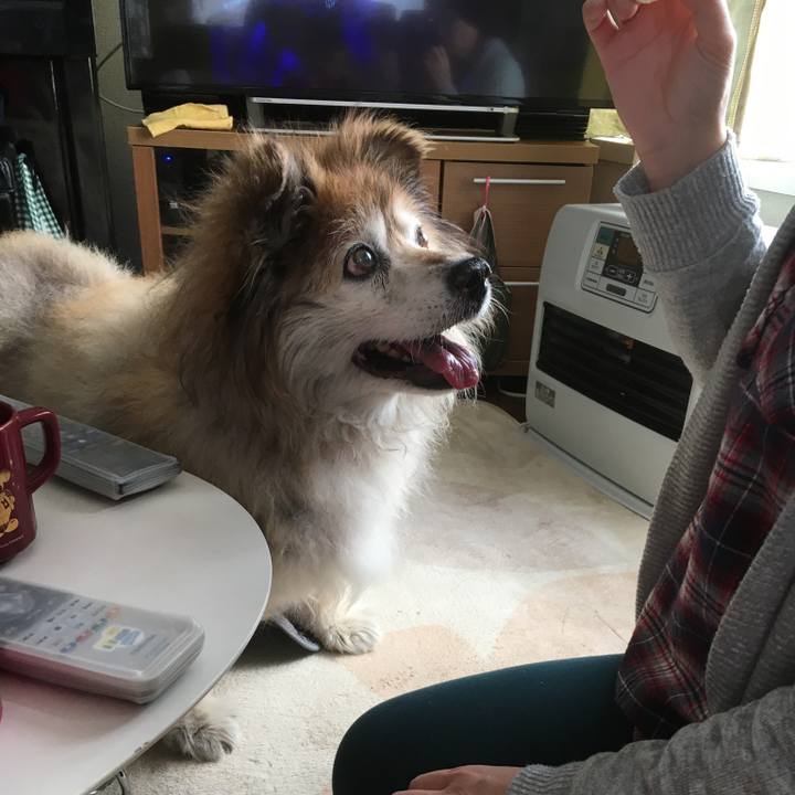 0de8dddf 7fcd 4bd9 a8f7 b19f6ae3f7c1 1594558024102