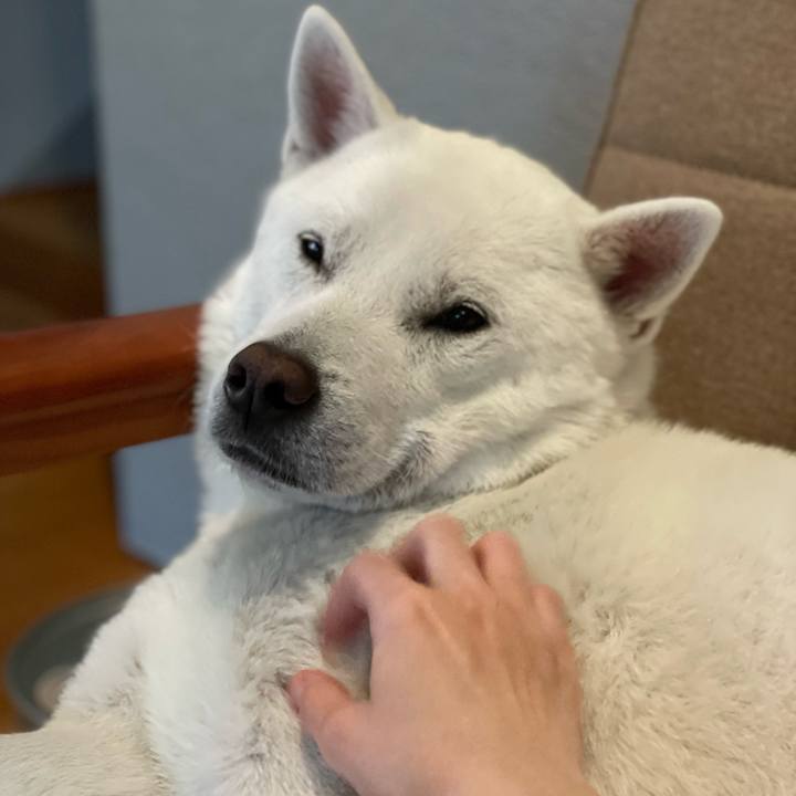 0de8f4ac 8277 4a45 aa96 d64b9a1c6e70 1654440251125