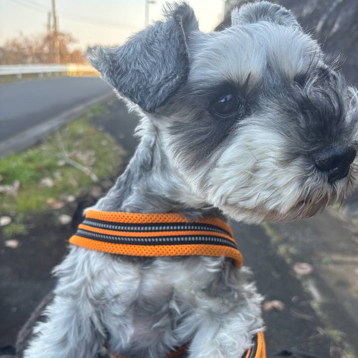 0de8fb0e 16f2 491a b522 cd3bddaf2757 1704004518567