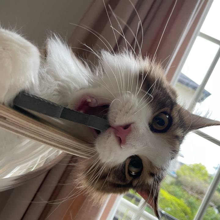 0de8fdee 821c 4734 8143 b0a665588f5c 1652304193646