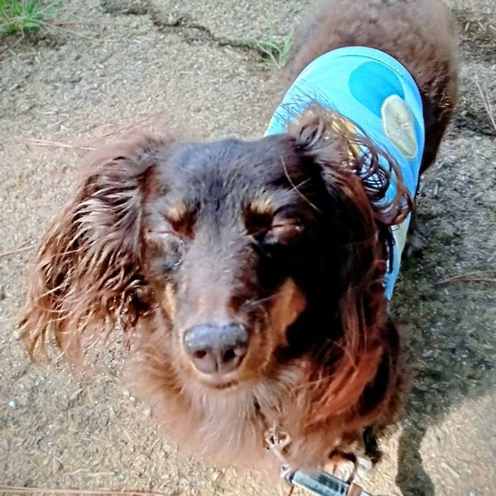 0de902cc bc55 4be4 a2f5 fe57a518f010 1758664319714