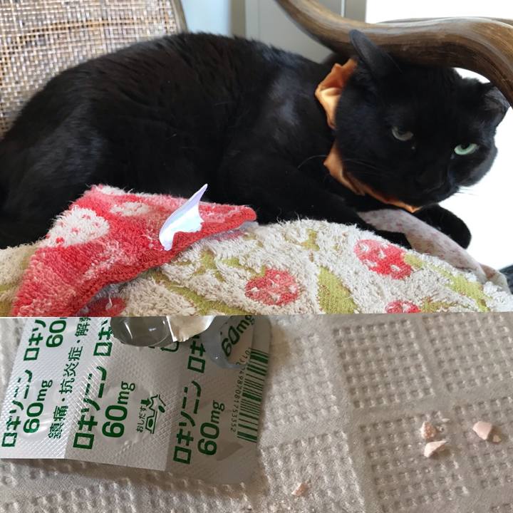 0de944d7 b16a 46b7 9612 15a300bd42ca 1625109942163