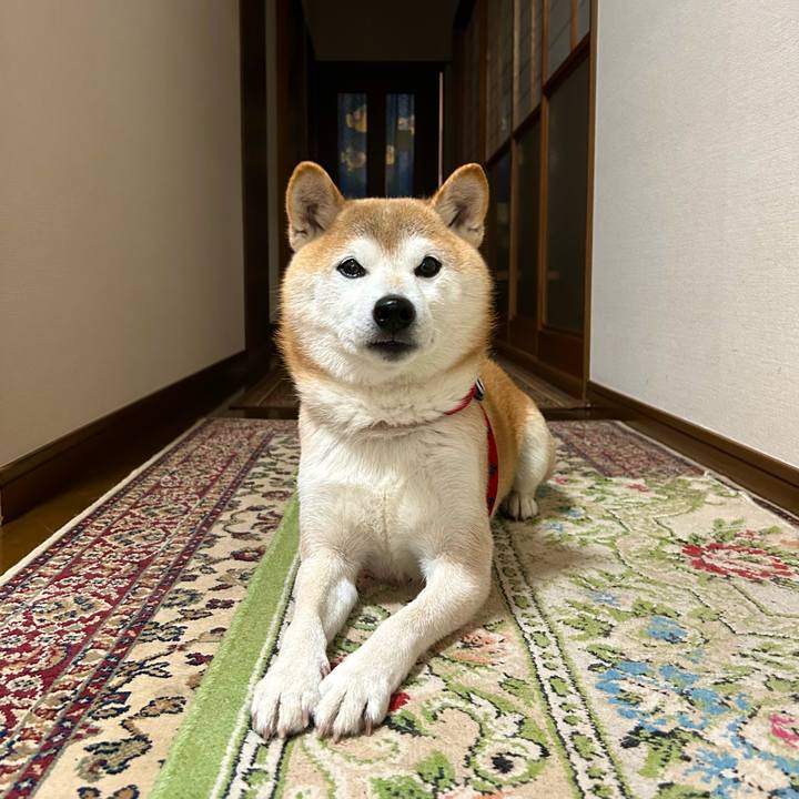 0de9b421 5dbc 4453 8617 c5fd646e7894 1701340178356