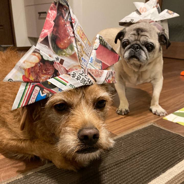 0de9c7c6 dabb 4a72 a069 5ddd8794e521 1620212795794