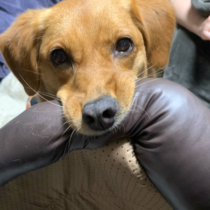 0de9dab7 c216 4dda b6ae 6efbc54152c0 1622517395780